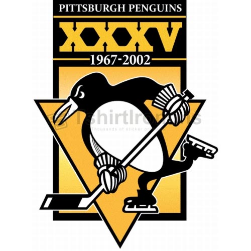 Pittsburgh Penguins T-shirts Iron On Transfers N304